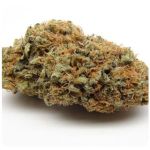 Шишки AK47 (Гидропоника, Бошка) VHQ в Уфе Шишки AK47 (Гидропоника, Бошка) VHQ в Уфе